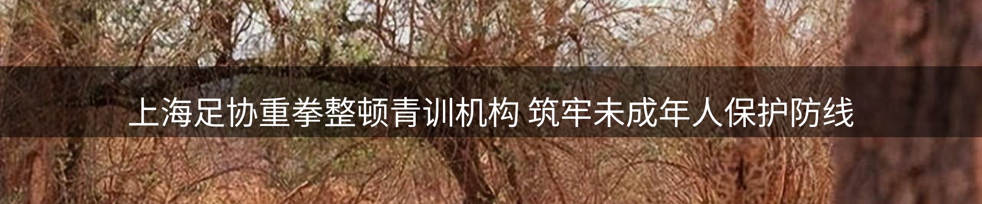 新闻动态