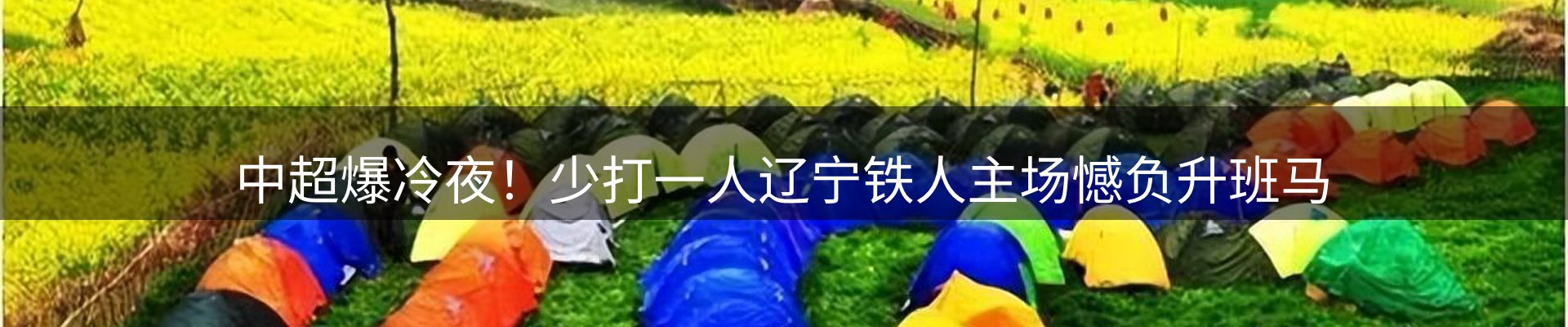 新闻动态