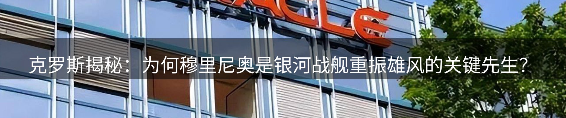 新闻动态