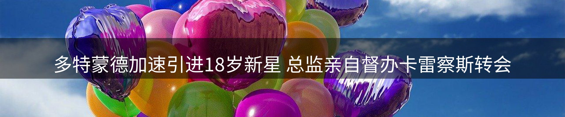 新闻动态