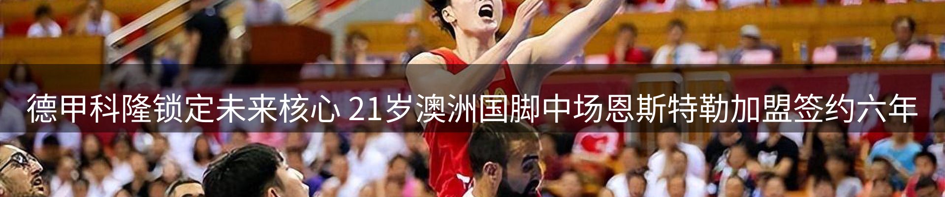 新闻动态