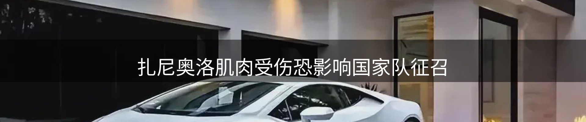 新闻动态