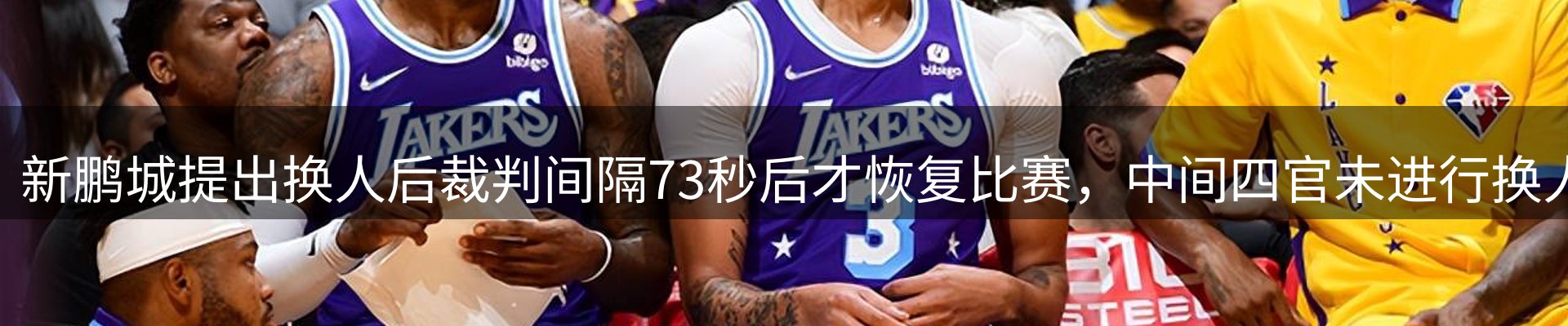 新闻动态