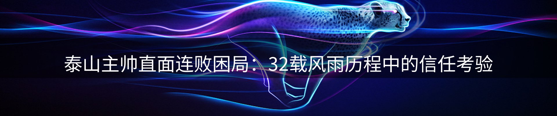 新闻动态