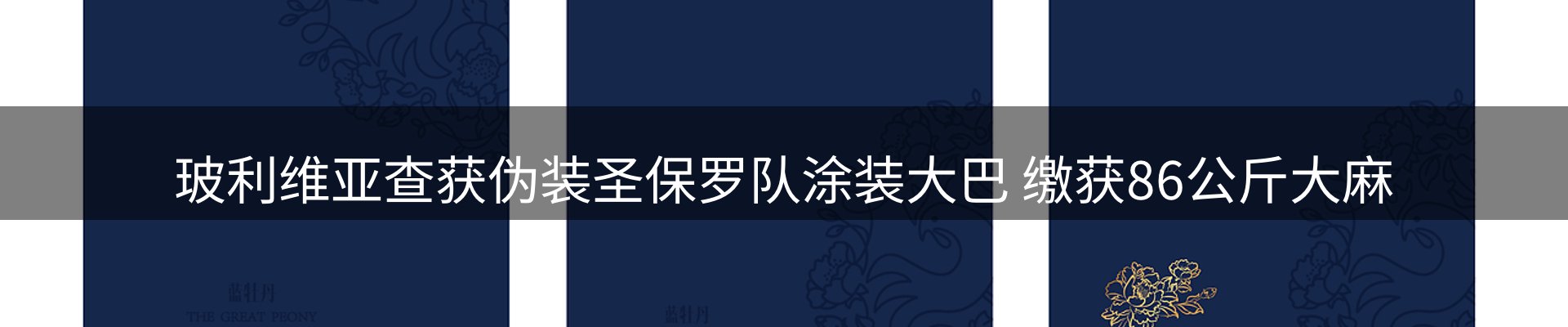 新闻动态