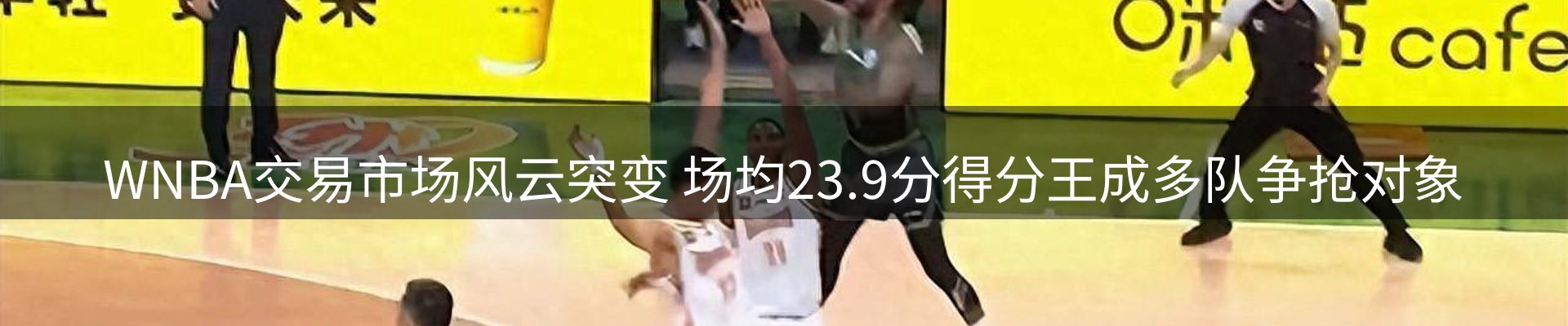 新闻动态